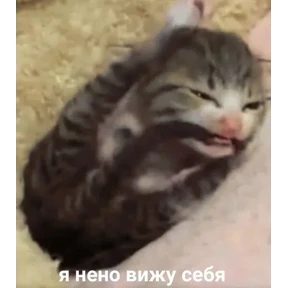 ZEIQEKALQQ — стикер для MAX