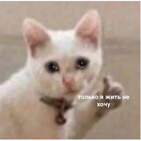 ZEIQEKALQQ — стикер для MAX