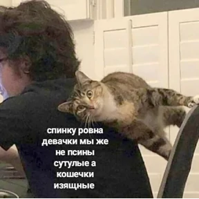 ZEIQEKALQQ — стикер для MAX