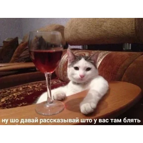 ZEIQEKALQQ — стикер для MAX