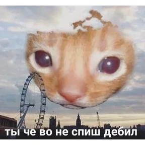 ZEIQEKALQQ — стикер для MAX