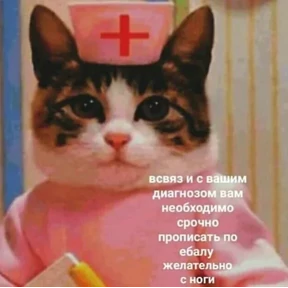 ZEIQEKALQQ — стикер для MAX