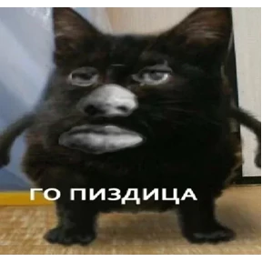 ZEIQEKALQQ — стикер для MAX