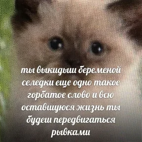 ZEIQEKALQQ — стикер для MAX