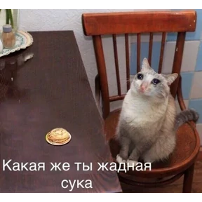 ZEIQEKALQQ — стикер для MAX
