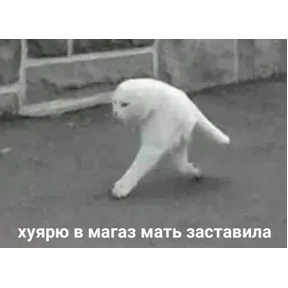 ZEIQEKALQQ — стикер для MAX