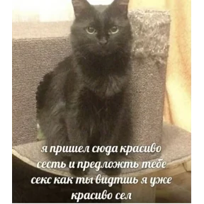 ZEIQEKALQQ — стикер для MAX