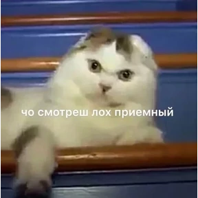 ZEIQEKALQQ — стикер для MAX