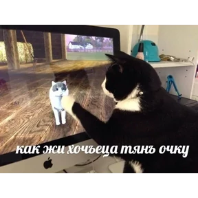 ZEIQEKALQQ — стикер для MAX