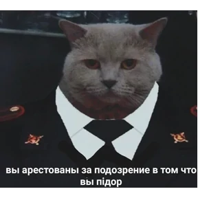 ZEIQEKALQQ — стикер для MAX