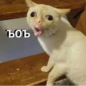 ZEIQEKALQQ — стикер для MAX