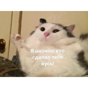 ZEIQEKALQQ — стикер для MAX
