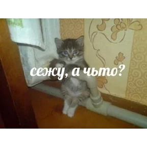 ZEIQEKALQQ — стикер для MAX