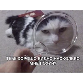 ZEIQEKALQQ — стикер для MAX