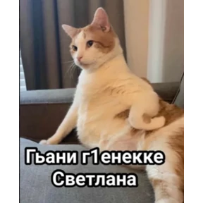 Асият Ахмедовна — стикер для MAX