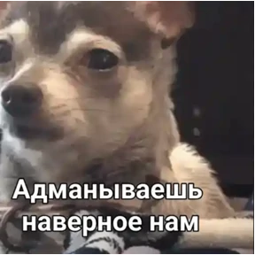 Асият Ахмедовна — стикер для MAX
