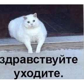 Асият Ахмедовна — стикер для MAX