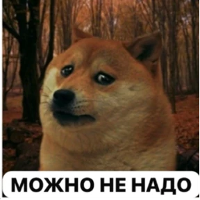 Асият Ахмедовна — стикер для MAX