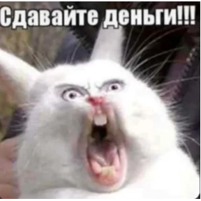 Асият Ахмедовна — стикер для MAX