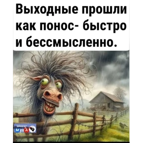 Мои — стикер для MAX