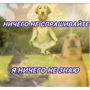 Мой — стикер для MAX