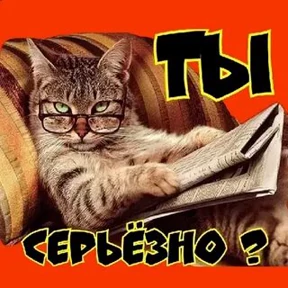 Прикол — стикер для MAX