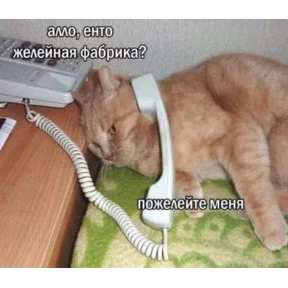 Моё — стикер для MAX
