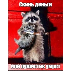 Мем — стикер для MAX
