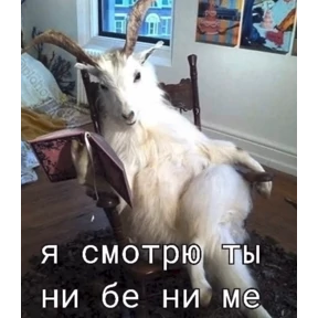 rrollfr — стикер для MAX