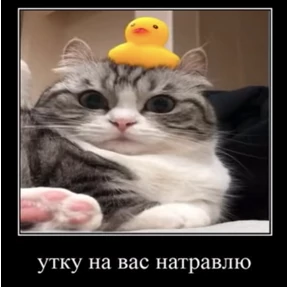 Мои из тг — стикер для MAX