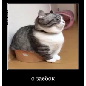 Мои из тг — стикер для MAX