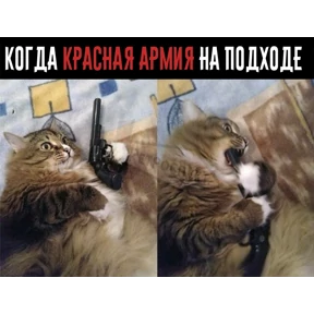 Набор 1 — стикер для MAX