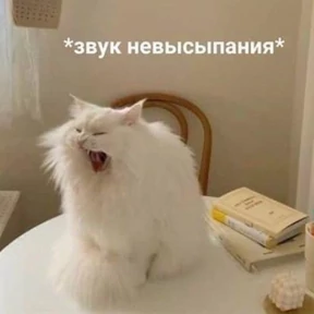Memes 1 — стикер для MAX