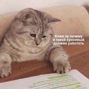 Memes 1 — стикер для MAX