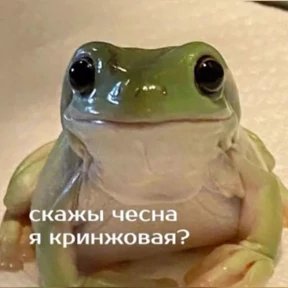 Memes 1 — стикер для MAX