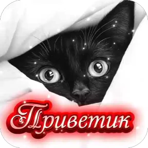 Приветствие и не только — стикер для MAX