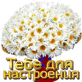 Приветствие и не только — стикер для MAX
