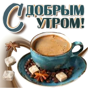 Приветствие и не только — стикер для MAX