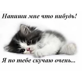 шмекси — стикер для MAX