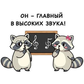 Ноты с Енотом — стикер для MAX