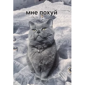 Набор 1 — стикер для MAX