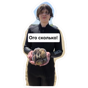 1 Семья на Я — стикер для MAX