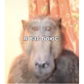 Стикеры от Кристины — стикер для MAX