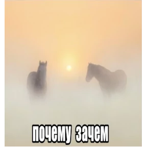 Стикеры от Кристины — стикер для MAX