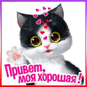 Стикер