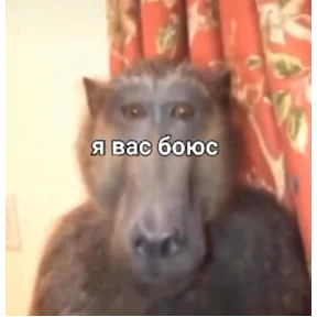 switch — стикер для MAX