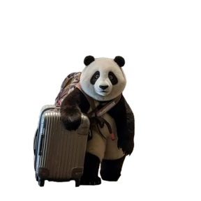 Злобный кот — стикер для MAX