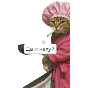 Злобный кот — стикер для MAX