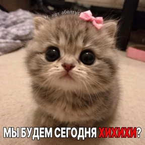 Нормальные стикеры в MAX — стикер для MAX
