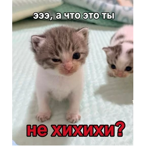 Нормальные стикеры в MAX — стикер для MAX